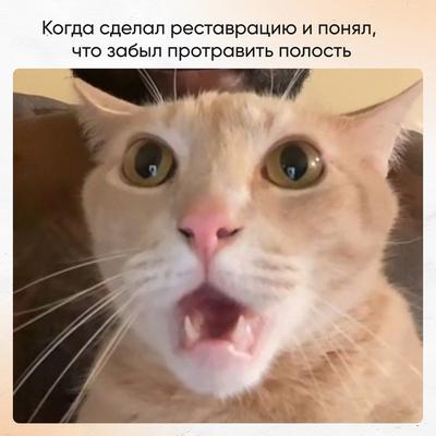 Мем